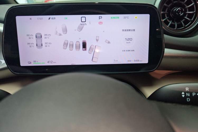 Used BYD Dolphin 2025 Smart Drive Version 420 km Freedom Edition Odometer Close Up