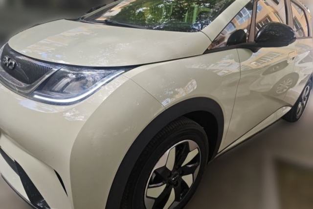Used BYD Dolphin 2025 420km Free Edition
