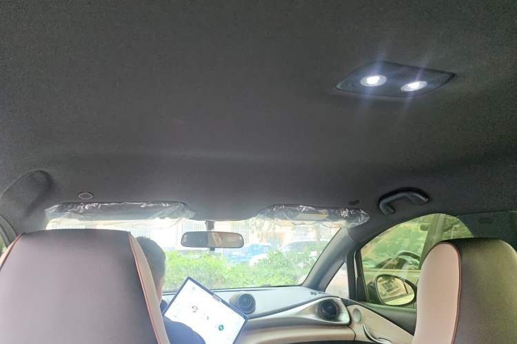 Used BYD Dolphin 2025 420km Free Edition Headliner