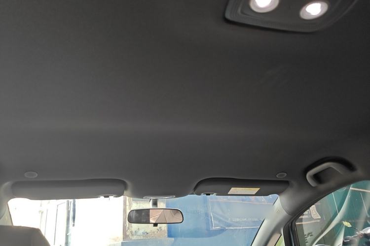 Used BYD Dolphin 2025 420km Free Edition Headliner