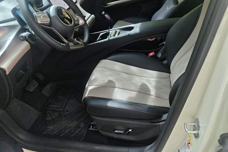 Used BYD Dolphin 2025 420km Free Edition Left Front Seat