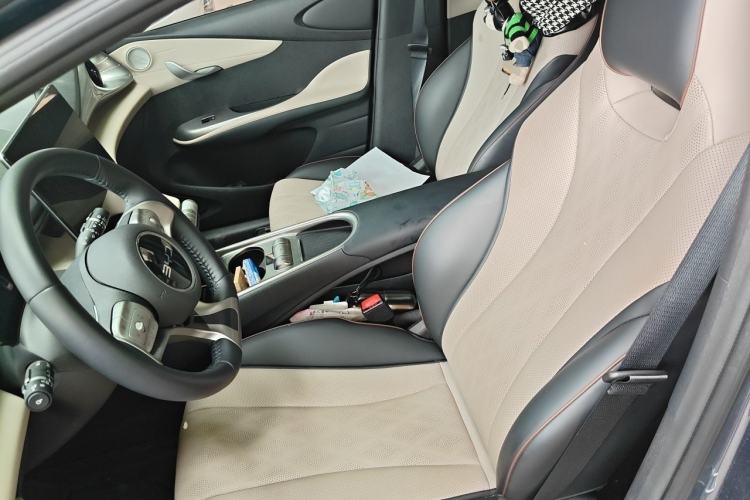 Used BYD Dolphin 2025 420km Free Edition Left Front Seat