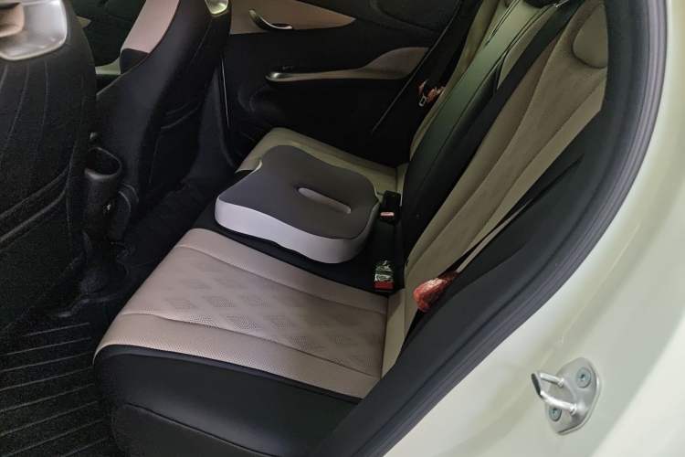 Used BYD Dolphin 2025 420km Free Edition Left Rear Seat