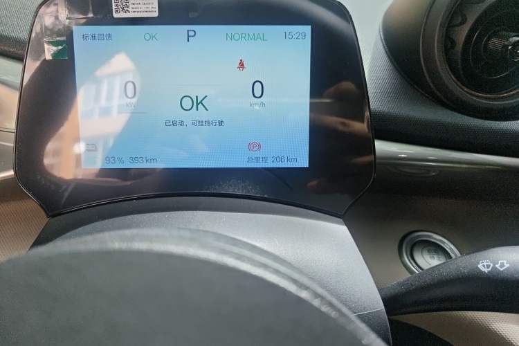 Used BYD Dolphin 2025 420km Free Edition Odometer Close Up