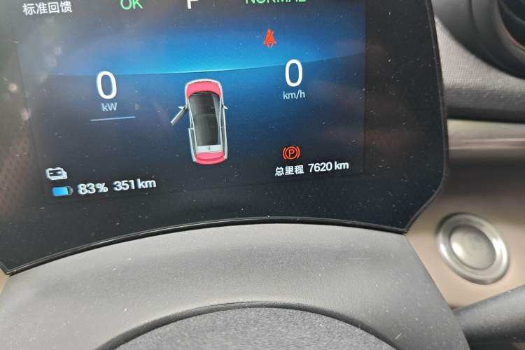 Used BYD Dolphin 2025 420km Free Edition Odometer Close Up