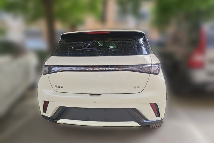 Used BYD Dolphin 2025 420km Free Edition Rear