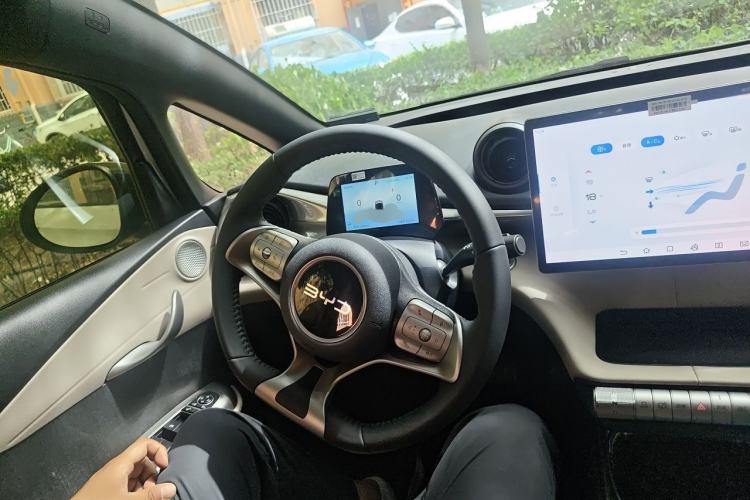 Used BYD Dolphin 2025 420km Free Edition Steering Wheel