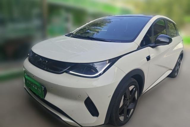 Używany BYD Dolphin 2025 Intelligent Driving Version 520km Range Knight Edition