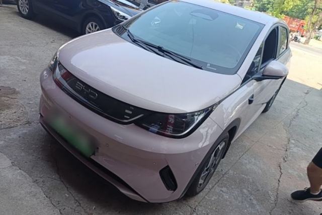Used BYD Dolphin 2025 Smart Drive Version 420 km Freedom Edition