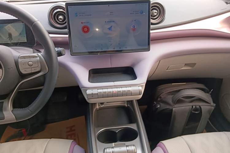 Used BYD Dolphin 2025 520km Range Knight Edition Audio And AC Panel
