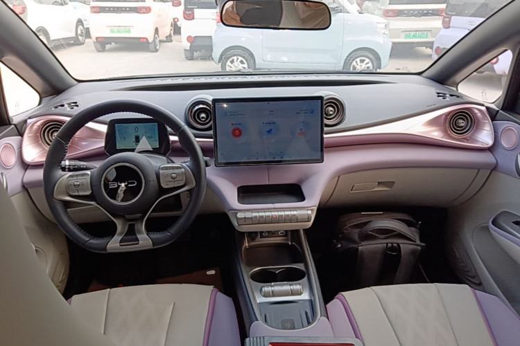 Used BYD Dolphin 2025 520km Range Knight Edition Center Console