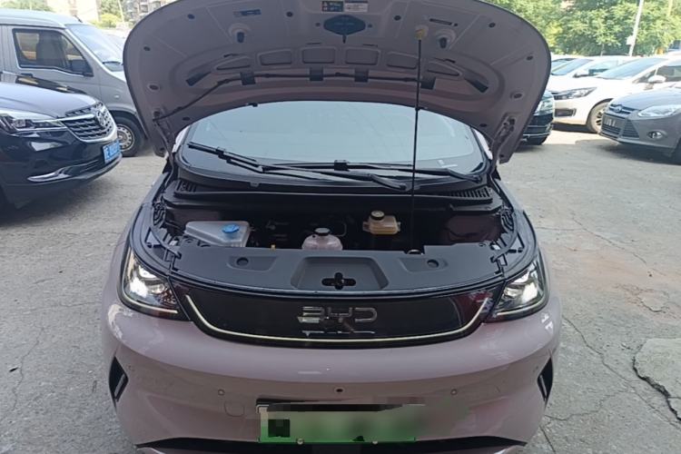 Used BYD Dolphin 2025 Smart Drive Version 420 km Freedom Edition Engine Bay