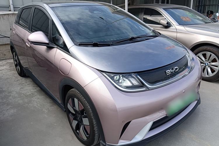 Used BYD Dolphin 2025 520km Range Knight Edition Exterior 1