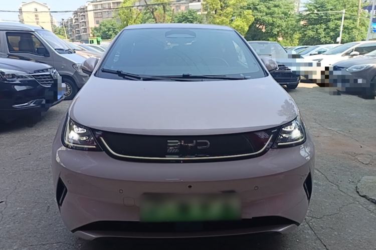 Used BYD Dolphin 2025 Smart Drive Version 420 km Freedom Edition Front