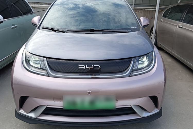 Used BYD Dolphin 2025 520km Range Knight Edition Front