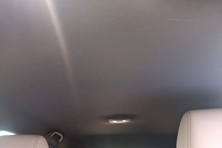 Used BYD Dolphin 2025 Smart Drive Version 420 km Freedom Edition Headliner