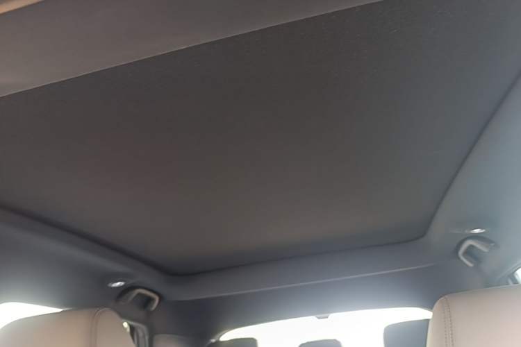 Used BYD Dolphin 2025 Intelligent Driving Version 410 km Fashion Edition Headliner