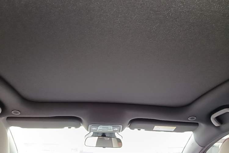 Used BYD Dolphin 2025 520km Range Knight Edition Headliner