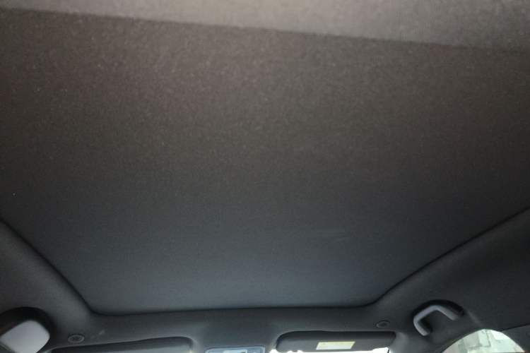 Used BYD Dolphin 2025 Intelligent Driving Version 410 km Fashion Edition Headliner