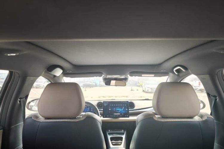 Used BYD Dolphin 2025 Intelligent Driving Version 410 km Fashion Edition Headliner