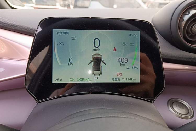 Used BYD Dolphin 2025 520km Range Knight Edition Instrument Cluster