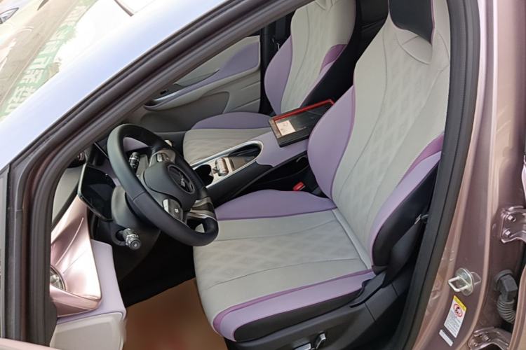 Used BYD Dolphin 2025 520km Range Knight Edition Left Front Seat