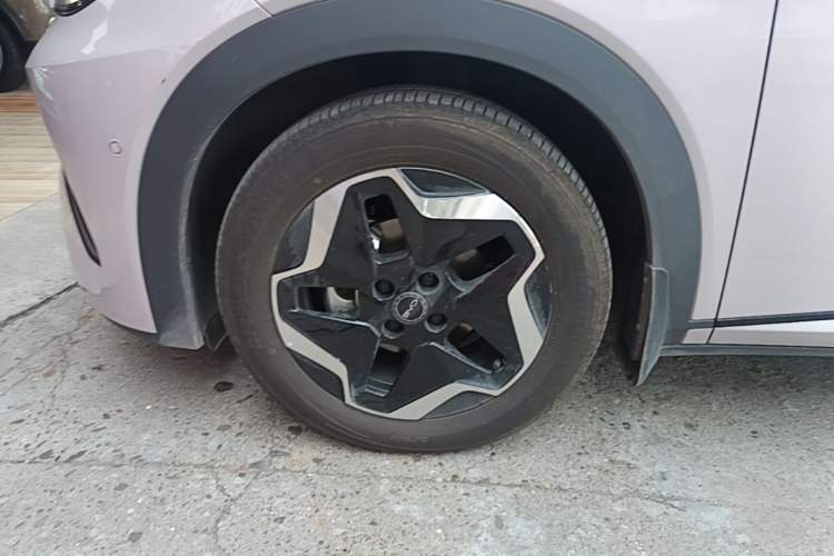 Used BYD Dolphin 2025 Smart Drive Version 420 km Freedom Edition Left Front Wheel Hub