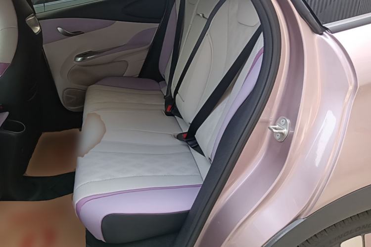 Used BYD Dolphin 2025 520km Range Knight Edition Left Rear Seat