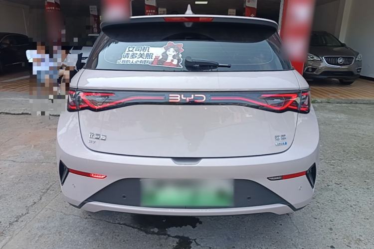 Used BYD Dolphin 2025 Smart Drive Version 420 km Freedom Edition Rear