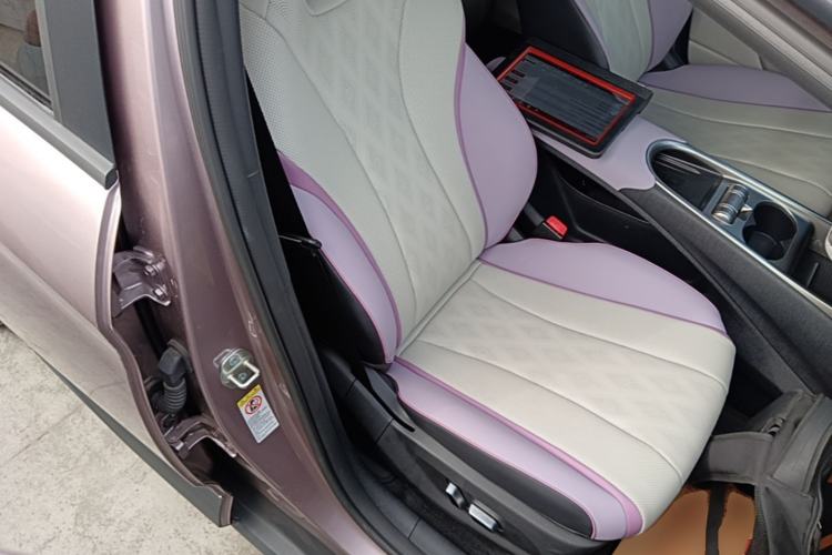 Used BYD Dolphin 2025 520km Range Knight Edition Right Front Seat