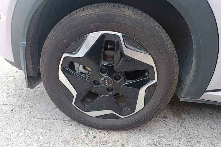 Used BYD Dolphin 2025 Smart Drive Version 420 km Freedom Edition Right Rear Wheel Hub