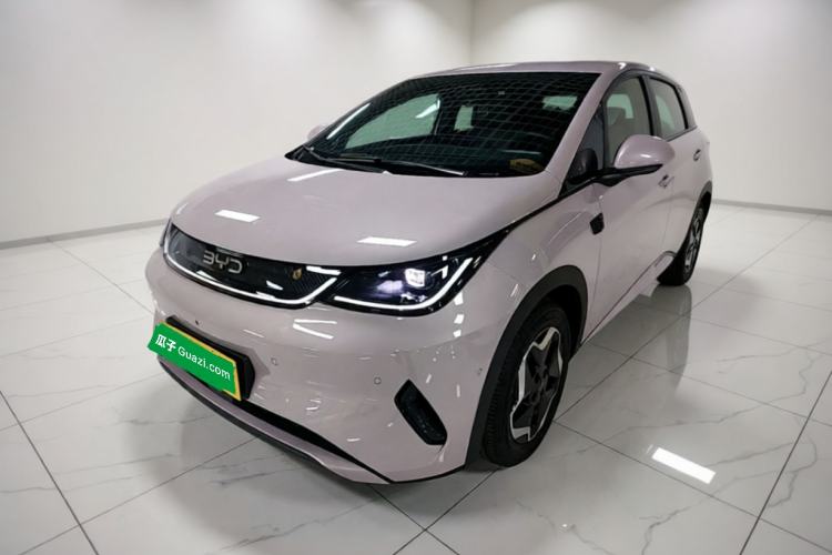 BYD Dolphin 2025 Smart Drive Version 420 km Freedom Edition