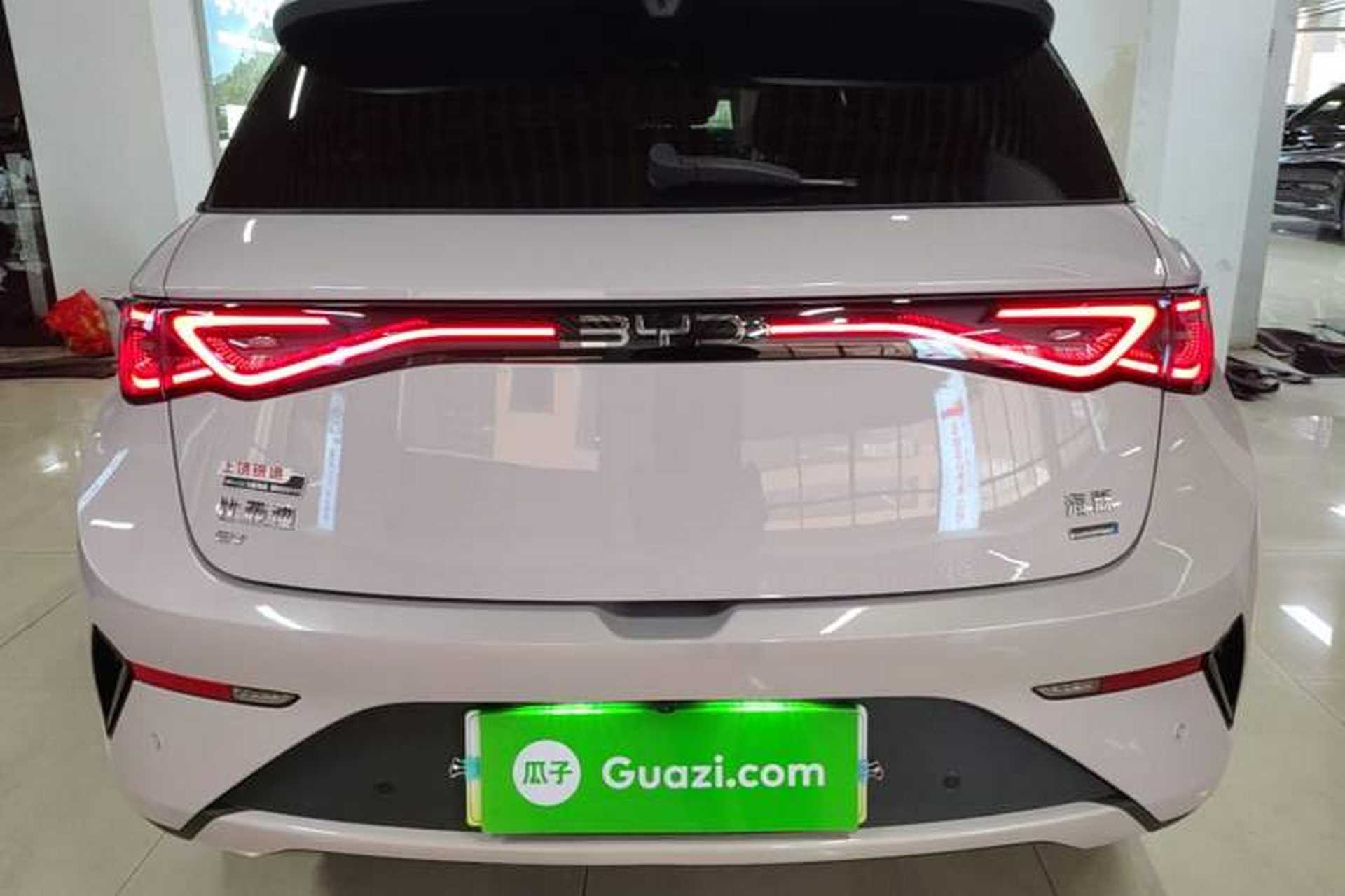Used BYD Dolphin 2025 Smart Drive Version 420 km Freedom Edition Rear
