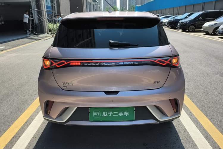 Used BYD Dolphin 2025 420km Fashion Edition Rear