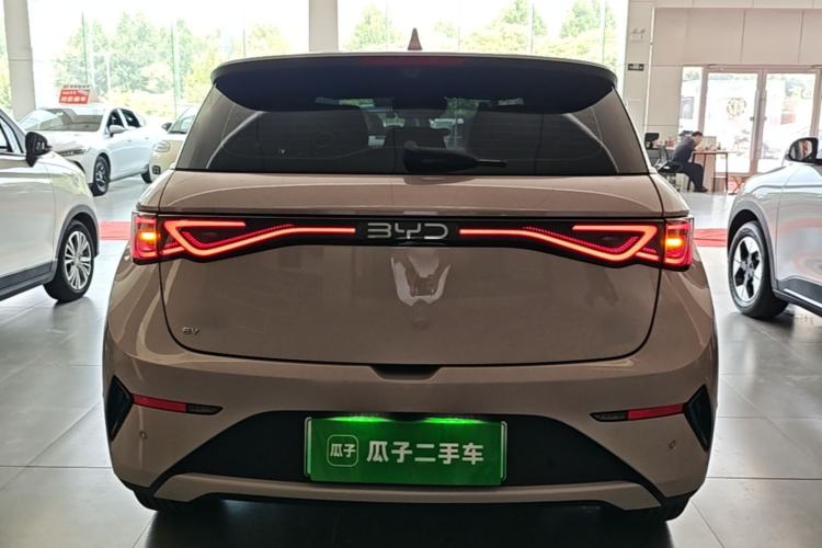 Used BYD Dolphin 2025 Smart Drive Version 420 km Freedom Edition Rear