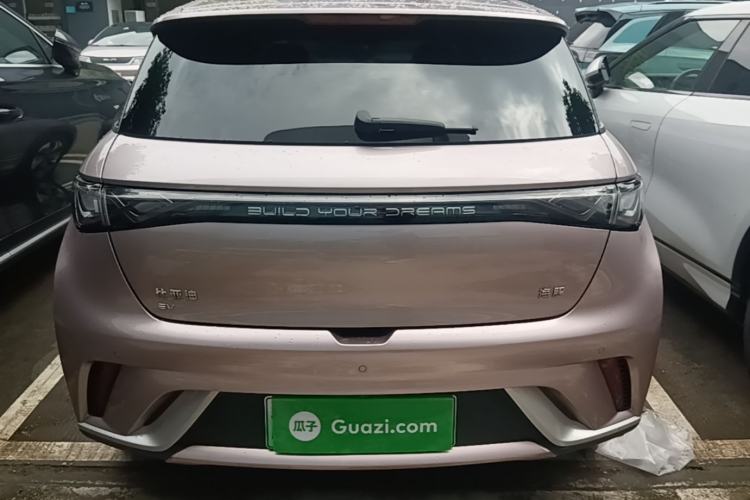 Used BYD Dolphin 2025 420km Fashion Edition Rear