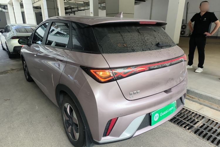 Used BYD Dolphin 2025 420km Free Edition Rear Left 45 Deg