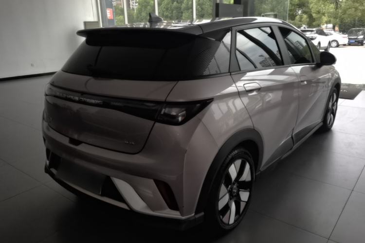Used BYD Dolphin 2025 520km Range Knight Edition Rear Right 45 Deg