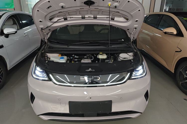 Used BYD Dolphin 2025 Intelligent Driving Version 410 km Fashion Edition Engine Bay
