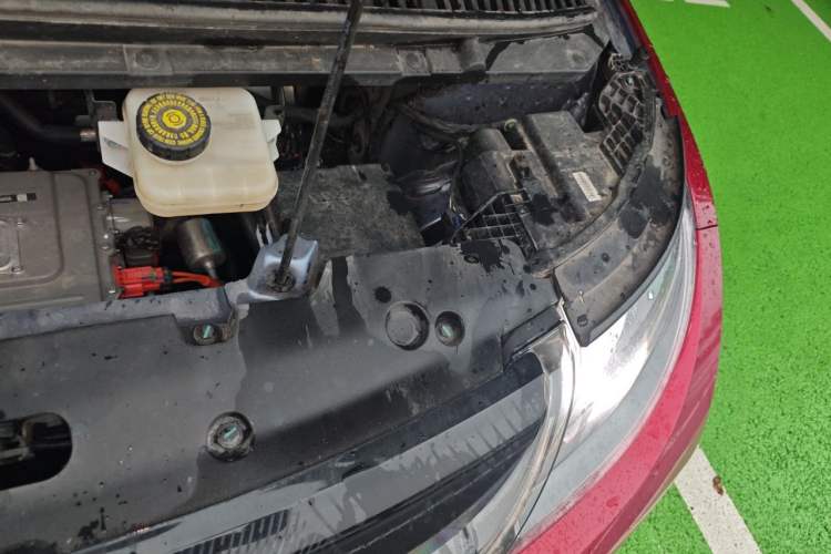 Used BYD Dolphin 2025 420km Free Edition Engine Bay Left