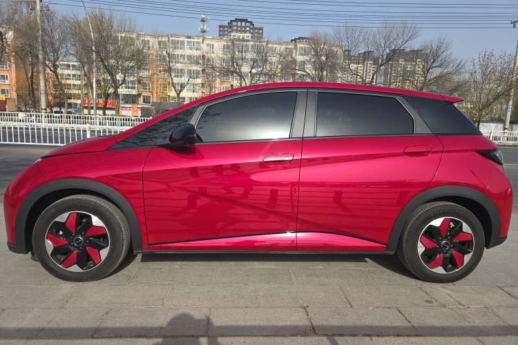 Used BYD Dolphin 2025 420km Free Edition Exterior 2