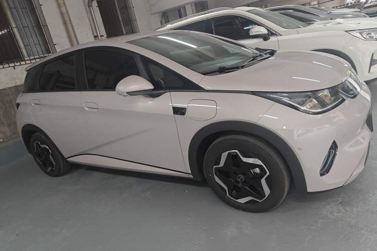 Used BYD Dolphin 2025 Smart Drive Version 420 km Freedom Edition Exterior 2