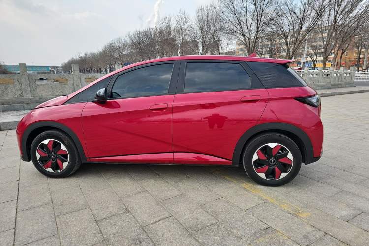 Used BYD Dolphin 2025 420km Free Edition Exterior 3
