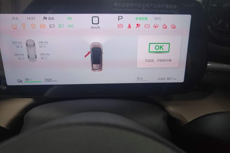 Used BYD Dolphin 2025 Smart Drive Version 420 km Freedom Edition Odometer Close Up