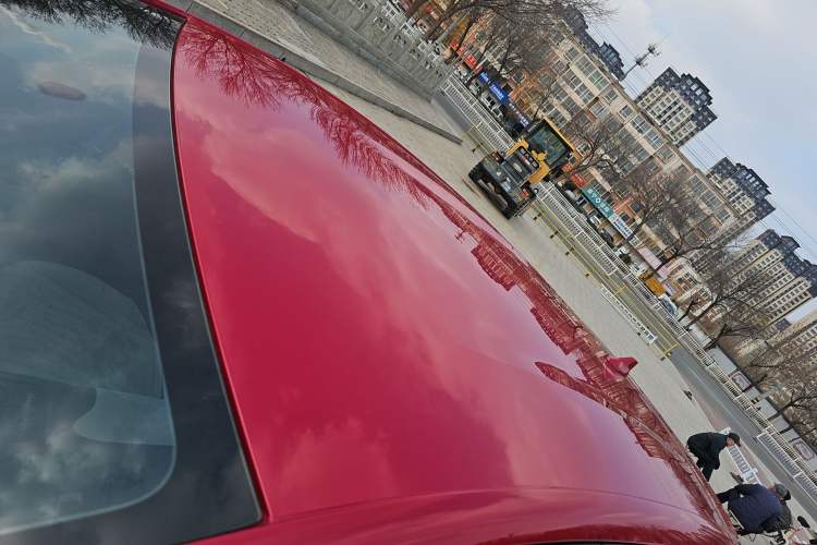 Used BYD Dolphin 2025 420km Free Edition Roof