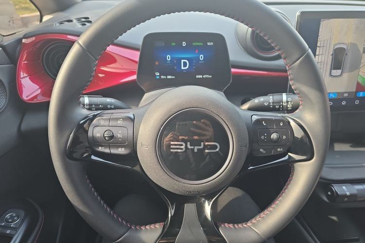 Used BYD Dolphin 2025 420km Free Edition Steering Wheel