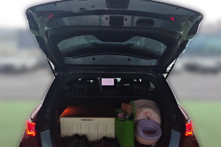 Used BYD Dolphin 2025 420km Free Edition Trunk