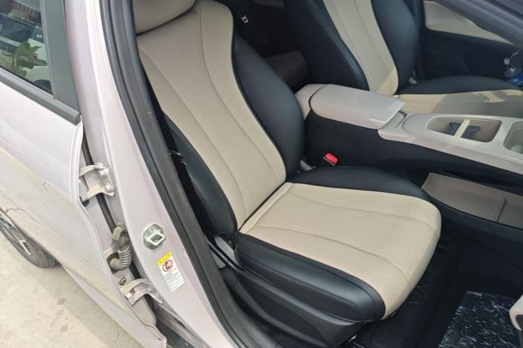 Used BYD Dolphin 2025 Smart Drive Version 420 km Freedom Edition Right Front Seat