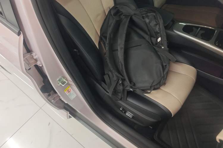 Used BYD Dolphin 2025 Intelligent Driving Version 410 km Fashion Edition Right Front Seat