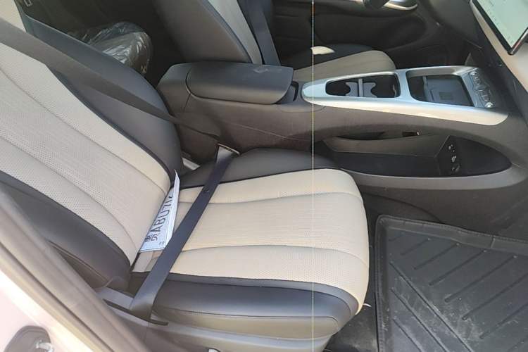 Used BYD Dolphin 2025 Intelligent Driving Version 410 km Fashion Edition Right Front Seat
